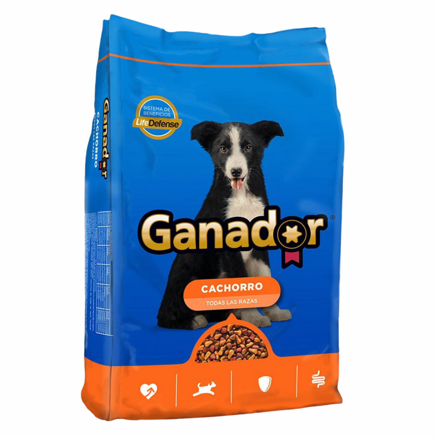 Malta Cleyton - Ganador Cachorro