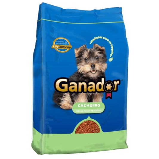 Malta Cleyton - Ganador Cachorro Razas Pequeñas