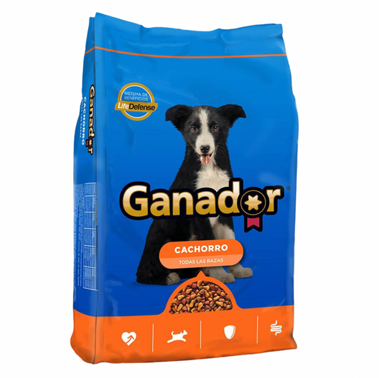 Malta Cleyton - Ganador Cachorro