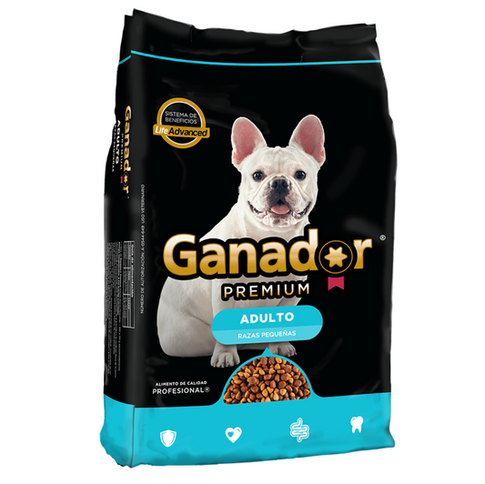 Malta Cleyton - Ganador Adulto Razas Pequeñas