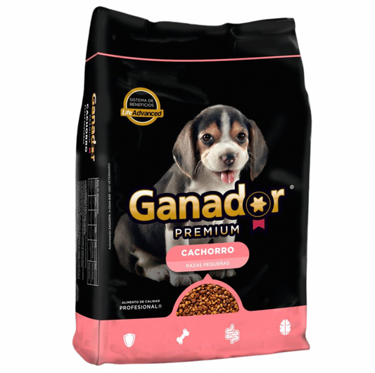 Malta Cleyton - Ganador Premium Cachorro Razas Pequeñas