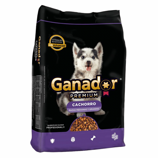 Malta Cleyton - Ganador Premium Cachorro